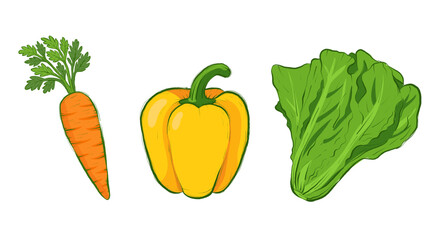 Fresh Vegetables Vector Illustration &ndash; Lettuce, Paprika, and Carrot on White Background