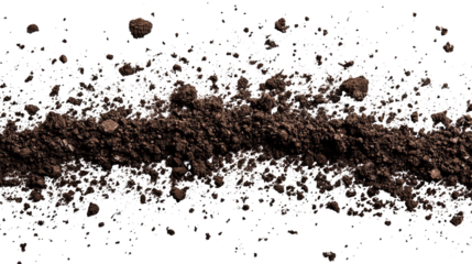 Dark soil and scattered particulates against a stark black backdrop, texture
