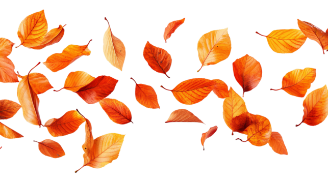 Illustration of vibrant, falling autumnal leaves with contrasting black background