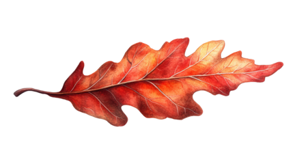 Watercolor illustration of a single autumn leaf with vibrant red and orange hues