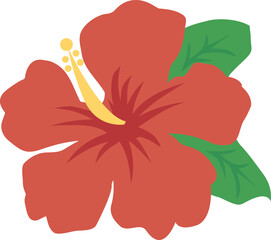 ハイビスカス