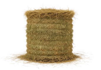 A rolled-up bale of hay on a white background.
