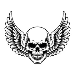 Monochrome winged skull for tattoo or edgy design. Illustration of death's head with spread wings