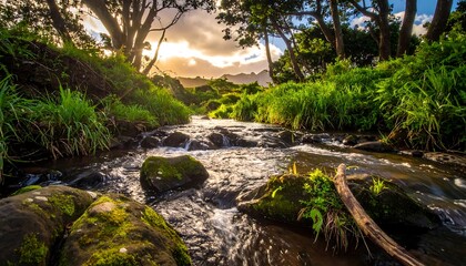 A sunlit stream winds through a lush green forest, reflecting light