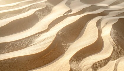 Close up of rippled sand dunes with warm sunlight casting long shadows creating abstract natural patterns and textures in a desert landscape.