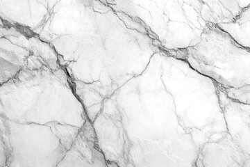 Obraz premium Close-up of white marble texture with natural gray and black veins forming an intricate abstract pattern