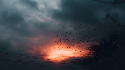 A flock of birds flies through a dramatic sunset sky with dark clouds and an orange glow