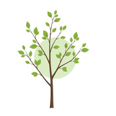 A minimalist illustration of a young tree with green leaves and a light green circle behind it.