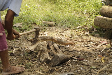 An elderly Indian man in a rural village wears a traditional dhoti and chops firewood outdoors, surrounded by logs and dry sticks, showing hardworking village life, tradition, and daily labor.