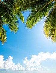 Sunlight filters through palm leaves on a clear day near the ocean with fluffy clouds in the background