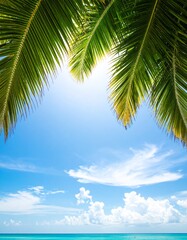 Sunlight filters through palm leaves on a clear day near the ocean with fluffy clouds in the background