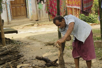 A hardworking villager wearing a half-sleeve shirt and maroon dhoti chops tree logs into firewood with determination, symbolizing the endurance and dedication of rural people.