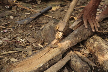 A hardworking villager wearing a half-sleeve shirt and maroon dhoti chops tree logs into firewood with determination, symbolizing the endurance and dedication of rural people.