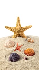 Fototapeta premium Assorted seashells and starfish nestled into fine, golden sand against a white backdrop