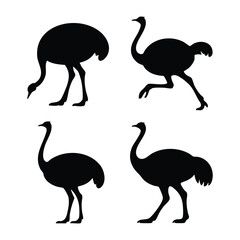 Ostrich Silhouettes in Various Poses, Set of Black Ostrich Icons, Ostrich Vector Silhouettes Collection, African Ostrich in Four Different Stances