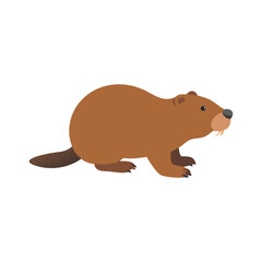 vector illustration of a bear