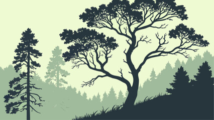 Silhouette of trees in a misty forest landscape with a large tree in the foreground and pine trees behind