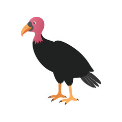 Obraz premium vulture cartoon isolated on white