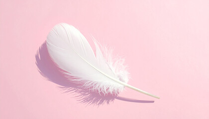 A single white feather placed on a soft pastel surface, natural daylight, clean minimal composition, high-resolution photo realism.