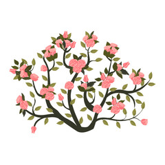 A round bush of blooming light pink roses. Vector illustration isolated on a white background.
