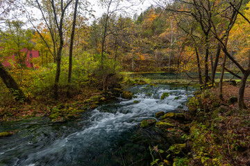 Autumn's Rushing Spring