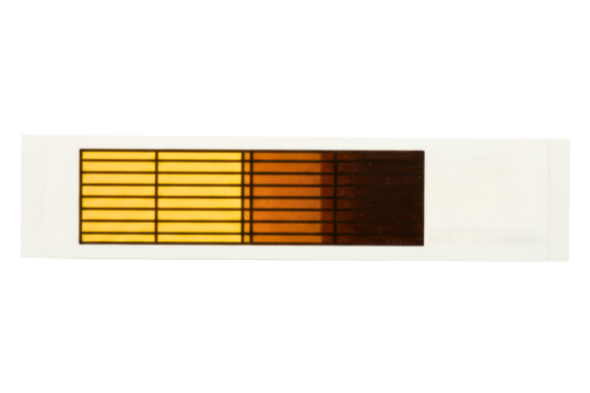 Photographic density control strip with a gradient color scale isolated on a transparent background