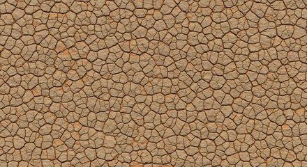 Cracked earth pattern shows polygonal segments of dry soil divided by dark deep fissures