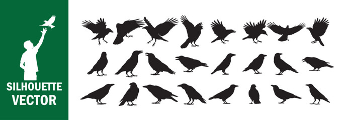 Dynamic Crow and Raven Silhouette Collection