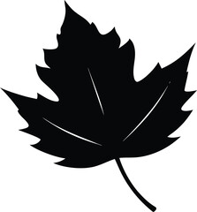 Black Maple Leaf Silhouette Icon Isolated on White Background