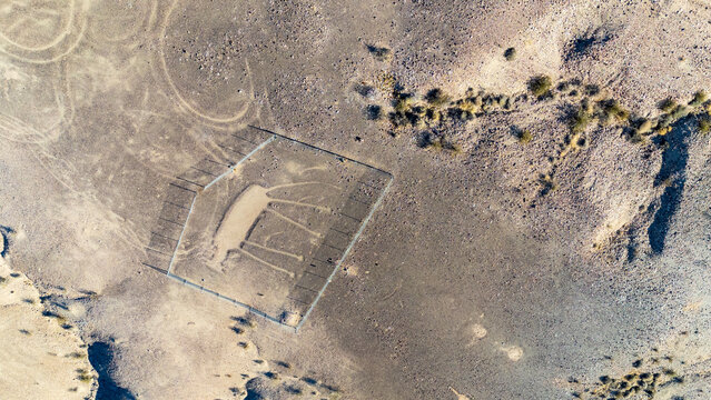 Blythe Intaglios Aerial View &ndash; Animal Geoglyph (Coyote Figure), California Desert. Ancient geoglyph likely depicting a coyote, captured from drone above the Colorado Desert near Blythe, California.