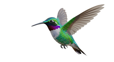 Fototapeta premium Vibrant hummingbird with iridescent feathers takes flight in stunning detail