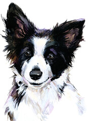 stunning portrait of a Border Collie, capturing the breed's iconic intelligence and intense gaze. Perfect for pet lovers, wall art, and animal-themed designs