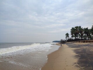 A beautiful, vibrant view of a sandy beach with foaming waves, a silhouette of a man on the horizon, palm trees in the background, and a blue, gray sky with clouds an autumn day in India, Pondicherry