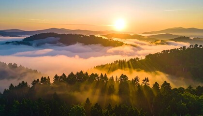 Golden sun rises over misty forested mountains, casting ethereal light across tranquil valleys.