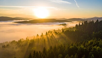 Golden sun rises over misty forested mountains, casting ethereal light across tranquil valleys.