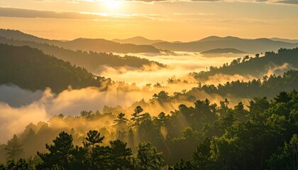 Golden sun rises over misty forested mountains, casting ethereal light across tranquil valleys.