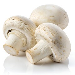 Whole Premium White Mushrooms on Pure White Background – Ultra High-Resolution Studio Food Photography