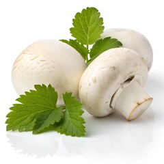 Premium White Mushroom Slices with Green Leaf on Pure White Background – Ultra High-Resolution Studio Photo