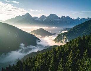 Mountain peaks pierce clouds; forests on slopes