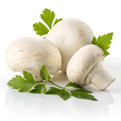 Premium White Mushroom Slices with Green Leaf on Pure White Background – Ultra High-Resolution Studio Photo