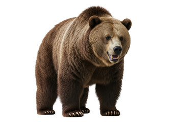 Fototapeta premium Majestic grizzly bear standing tall front view wildlife animal photography image, brown bear, ursus arctos isolated on transparent background