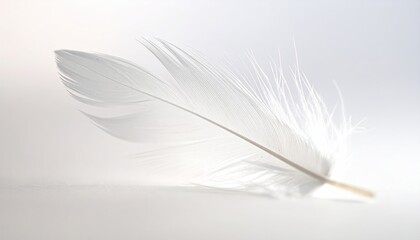 Obraz premium A Delicate White Feather Rests Gently on a Soft White Surface with Subtle Light Effects Suggesting a Peaceful and Serene Atmosphere