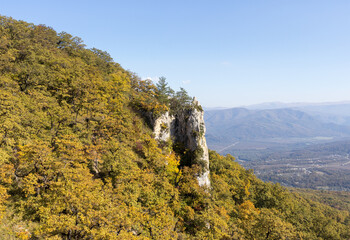 Autumn walks in the autumn park in the morning in the alpine area of the mountain range