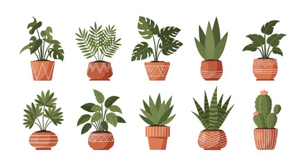 set of flowers in pots