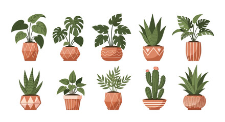 set of flowers in pots