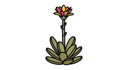 Whimsical flower illustration with a spiky succulent base and vibrant blossom design element