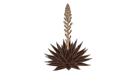 Stylized agave plant in bloom with a beige flower spike on a white background