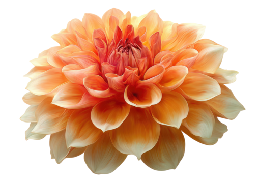 Warm-toned dahlia blossom with layers of delicate petals