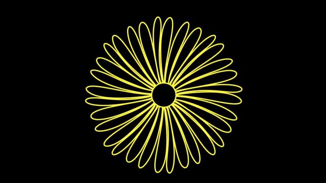 Yellow Flower Outline Rotating Animated Loop Daisy Petals on Black Background