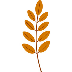 Autumn leaf stem with orange leaves on a white background isolated detailed illustration